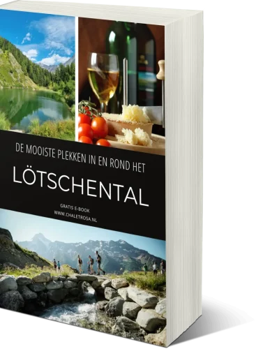 mock-up-chalet-Rosa (1)