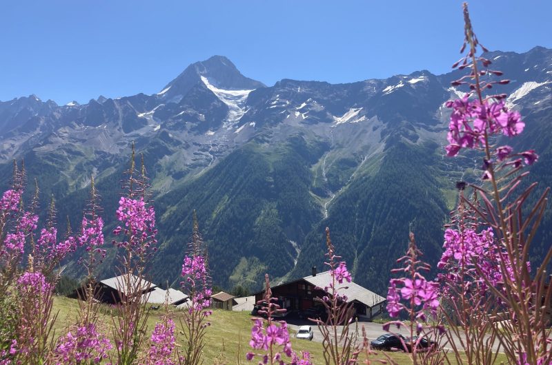 Bietschhorn